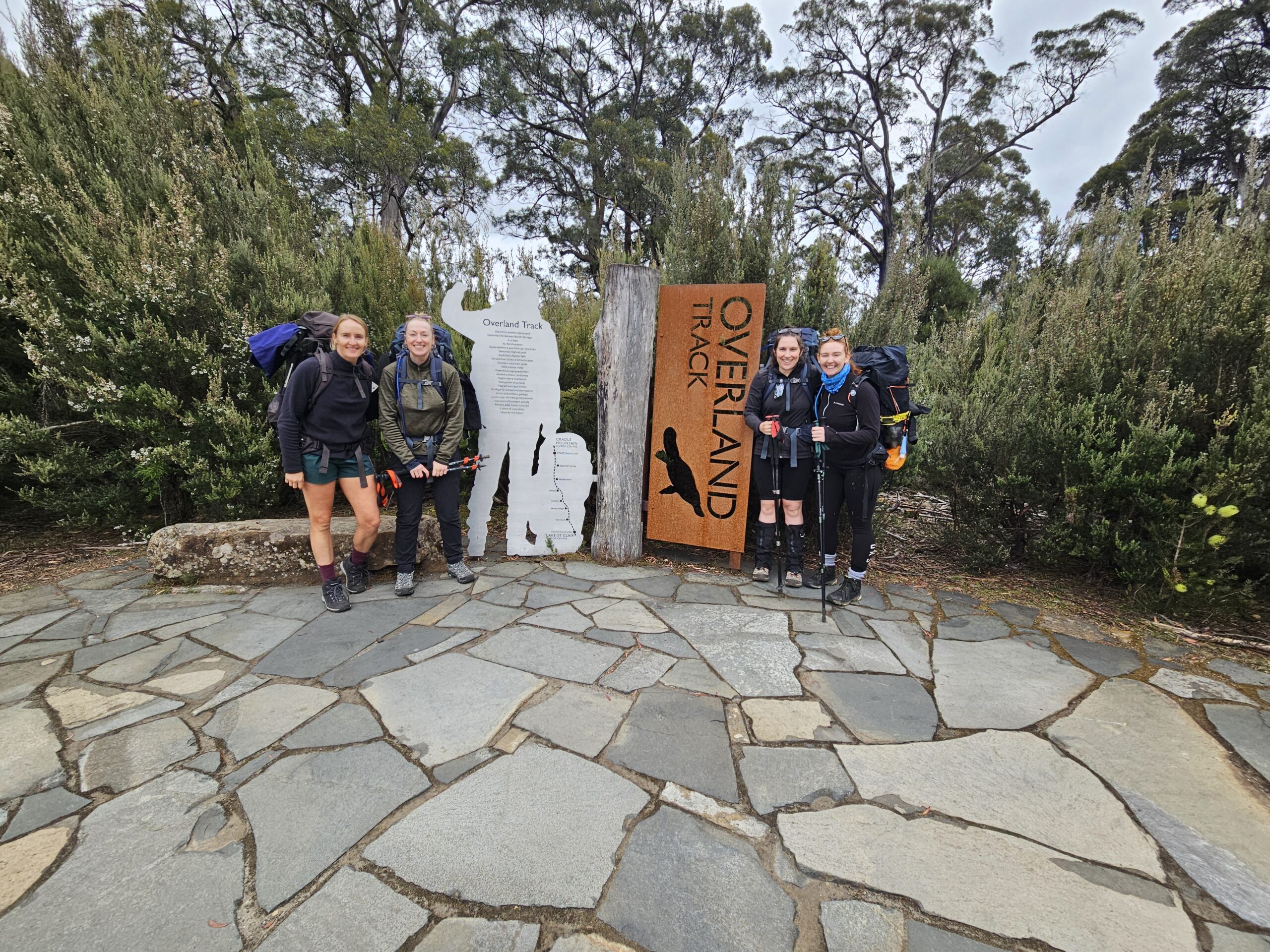 We’re going on a Wombat Hunt